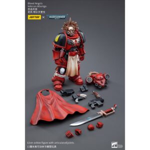 Blood Angels Veteran Alberigo Action Figure Contents