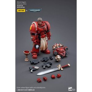 Blood Angels Veteran Salus Action Figure Contents