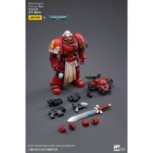 Blood Angels Veteran Vigna Action Figure Contents