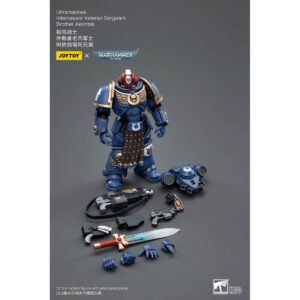 Ultramarines Intercessor Veteran Sergeant Brother Aeontas Action Figure Contents