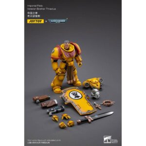 Imperial Fists Veteran Brother Thracius Action Figure Contents