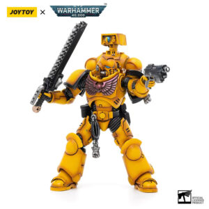 Imperiar Fists Intercessors Brother Marine 02 Action Figure Front View